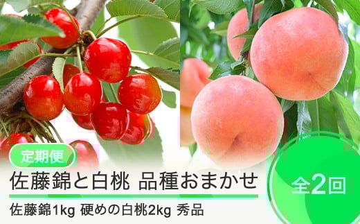 【2回定期便】佐藤錦1kg 白桃2kg さくらんぼ 硬めの白桃 品種おまかせ 選べる定期便 山形県産 2025年度産 令和7年 フルーツ 果実 送料無料 ry-ft2sh3000-h