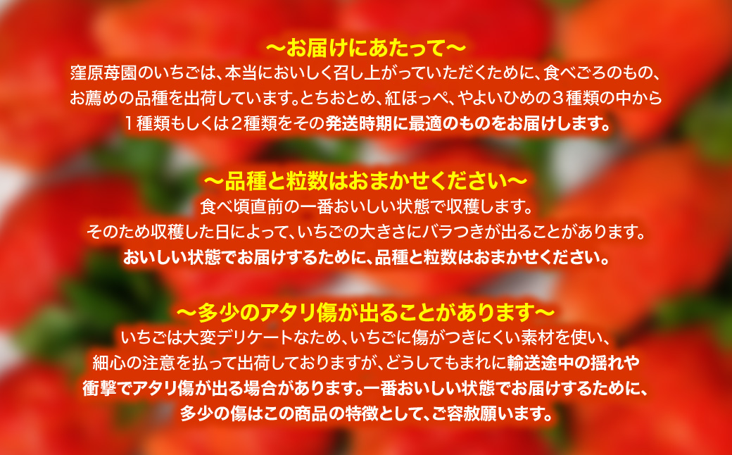 【先行予約・2027年1月～発送】農家直送！窪原さんちのこだわり極上、完熟いちご　（とちおとめ、紅ほっぺ、やよいひめのいずれかを約１㎏） SMDH001