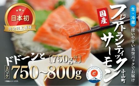 フジ アトランティック サーモン （ 3パック 750g以上 ） 国産 生食用 サーモン