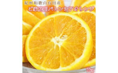 【ご家庭用訳あり】希少な国産バレンシアオレンジ 7kg ※2026年6月下旬～7月上旬頃に順次発送予定