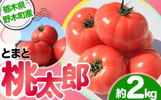 3601栃木県野木町産トマト桃太郎(約2kg)