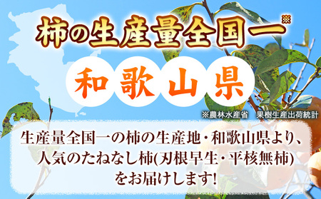 【秋の味覚】 和歌山 産 の たねなし 柿  ご家庭用 約 7.5kg 厳選館 《2024年9月下旬-11月中旬頃出荷》 和歌山県 日高川町 柿 カキ かき ジューシー フルーツ たねなし