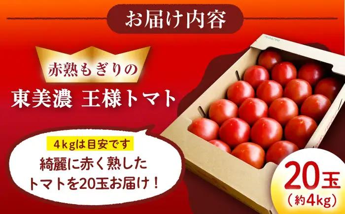 王様トマト 約4kg  [AUDS002]トマト