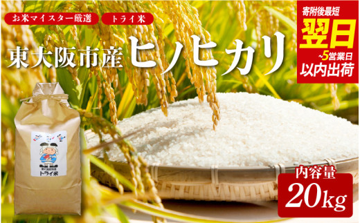 【 スピード発送!! 】 東大阪市産 ヒノヒカリ 令和7年度産  20㎏ お米マイスター厳選 トライ米【1週間以内に発送】【東大阪市産ヒノヒカリ】 【お米マイスター厳選 米 お米 白米 コメ ひのひかり 精米 新生活 応援 スピード配送】