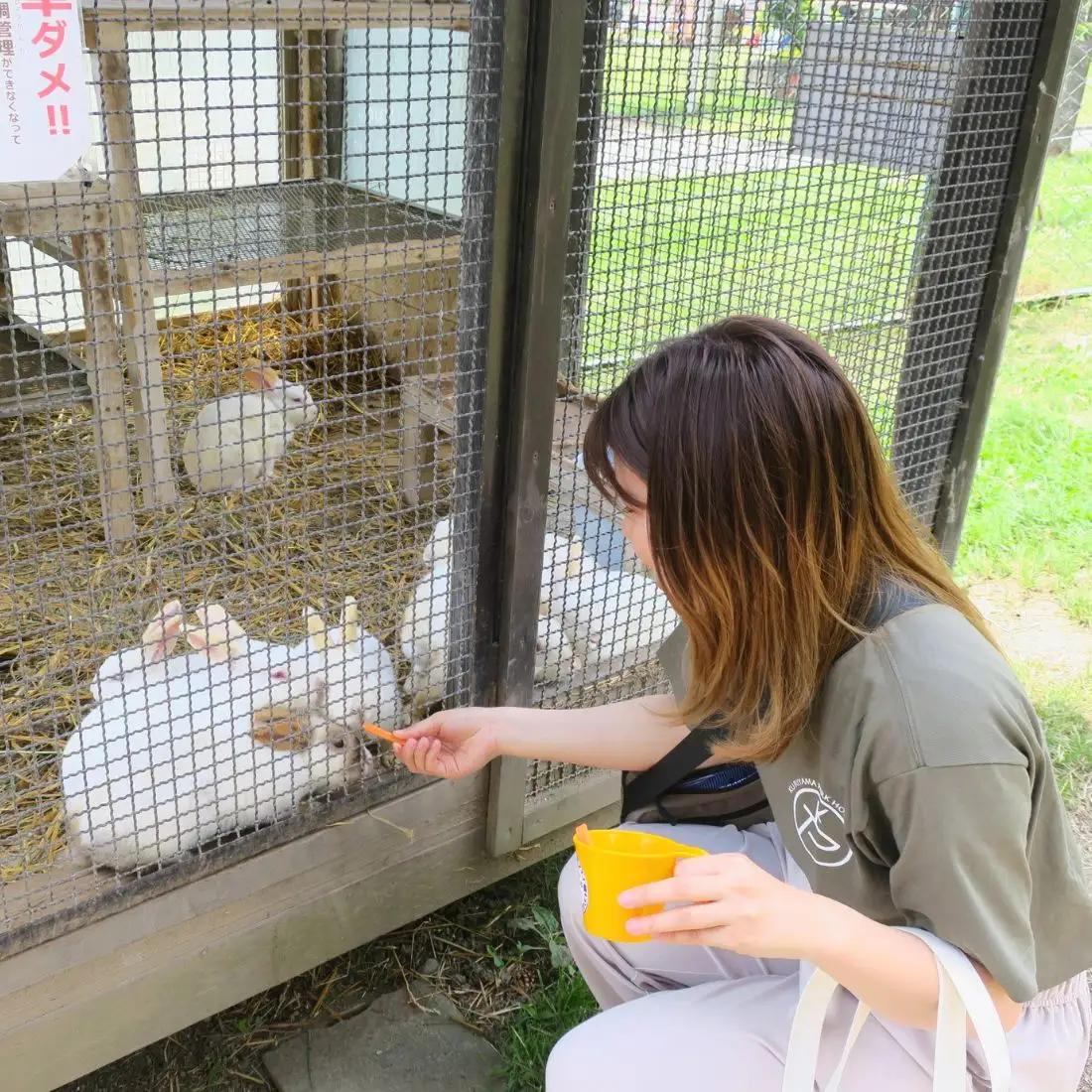 栗山公園「なかよし動物園」パクパクタイム回数券（6回分）3枚セット