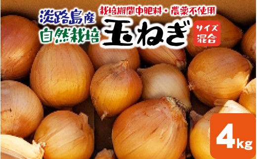 淡路島産 栽培期間中肥料・農薬不使用 自然栽培玉ねぎ 4kg  ／ 野菜 自然栽培 農薬不使用 ブランド タマネギ オニオン スライス サラダ 肉じゃが 常備菜 スープ 味噌汁 兵庫県 淡路市 サイズ混合