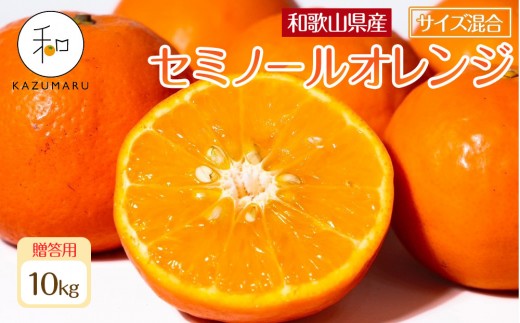 
            贈答用 森本農園の手選別 厳選セミノールオレンジ 約10kg 和歌山県産 サイズ混合 ［北海道・沖縄・離島配送不可］［2026年4月中旬から順次発送］［RN112］【会員限定のお礼の品】
          