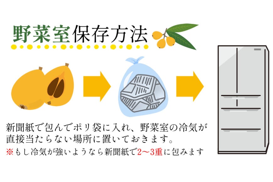 AH093 【先行受付】長崎県産 ハウスびわ 約500g 化粧箱入り 【 フルーツ 果物 くだもの びわ ビワ 枇杷 数量限定 季節限定 初夏 冷蔵 長崎県 島原市 】_イメージ5
