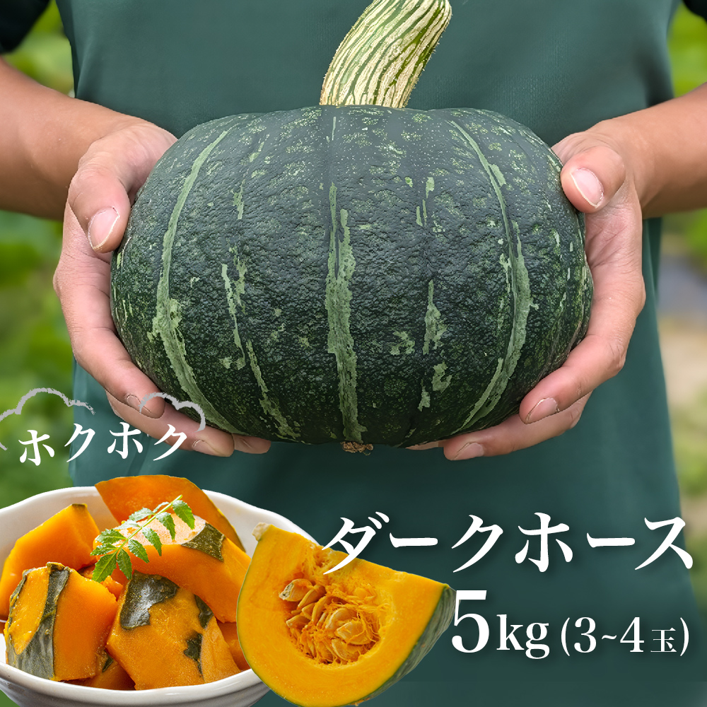 石巻伝承野菜 かぼちゃ ダークホース 5キロ 3～4玉 カボチャ