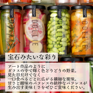 ピクルス 5本 おまかせセット ピクルス ピクルス ピクルス ピクルス ピクルス LM001