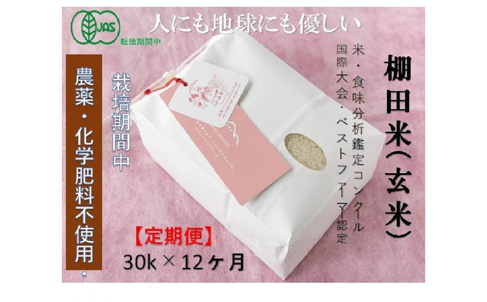 【12ヶ月定期便】魚沼コシヒカリ　苗場プリンセス・プレミアム　有機JAS認証米　玄米（30kg）×12回　合計360kg127523-069