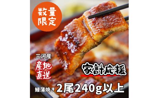 【通常発送】生産者｢愛知養魚｣がお届けする三河産うなぎ「蒲焼冷凍2尾」(合計240g～250g) ≪冷凍≫ 鰻 ウナギ 国産うなぎ 蒲焼き 愛知県 西尾市 たれ付き 海鮮 惣菜生産者｢愛知養魚｣がお届け 丑の日 土用の丑の日 ・A092-12