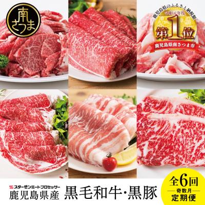 ふるさと納税 南さつま市 【スターゼン厳選定期便】鹿児島県産 黒毛和牛・黒豚定期便 (全6回)