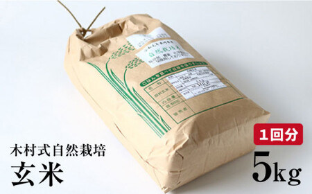 【月1回5kg×3回定期便】木村式自然栽培の玄米 ヒノヒカリ 計15kg＜ハマソウファーム＞ [CBR007]