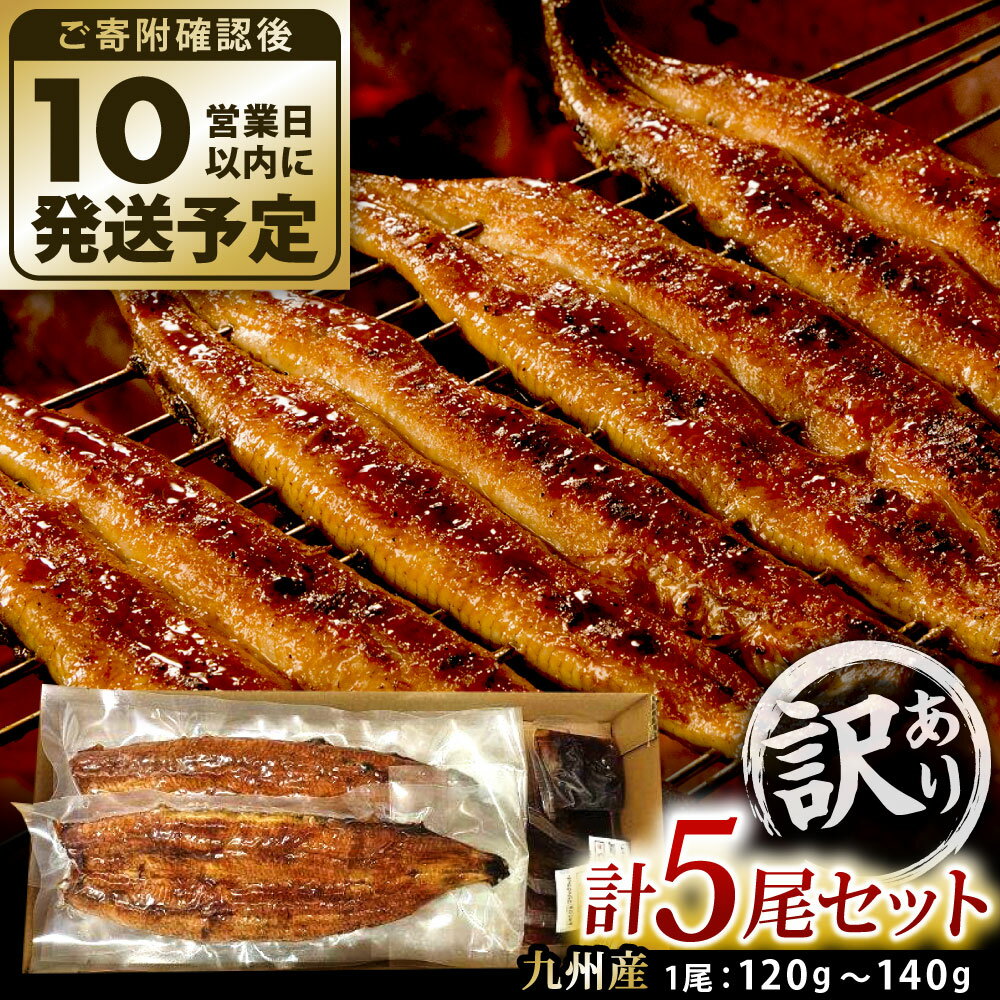 【ふるさと納税】【訳あり】玉に瑕 九州産 手焼き炭火うなぎ蒲焼 5尾 (1尾あたり120-149g) たれ・山椒付き 鰻 蒲焼き 冷凍 国産 送料無料 鹿児島、宮崎、熊本等産うなぎ原料使用
