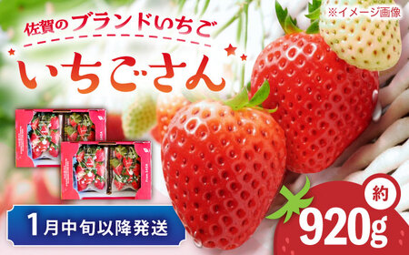 【先行予約 1月中旬以降順次発送】【佐賀のブランドいちご】いちごさん 約920g（約230g×4p）/中村青果店[UDK009]