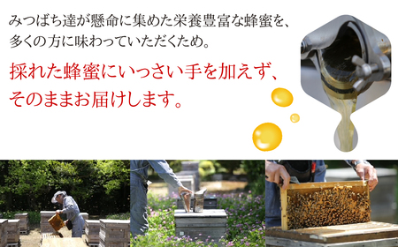 【国産蜂蜜】百花 1200g×3回定期便 蜂蜜