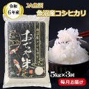 【ふるさと納税】令和6年産 魚沼産コシヒカリ定期便 5kg×3回（3か月連続お届け）（JA魚沼）白米 魚沼 米 定期便 JA38P320