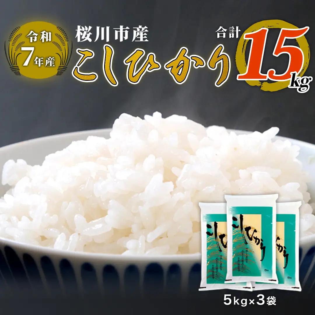 【 令和7年産 】 数量限定 桜川市産こしひかり 15kg（5kg×3袋）茨城県産 桜川 米 お米 白米 コメ ごはん 精米 コシヒカリ こしひかり 国産 限定 [AX006sa]