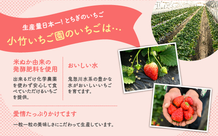 【先行予約】いちご　ミルキーベリーセット　450g×1パック ※着日指定不可 ※2024年2月下旬～5月下旬頃に順次発送予定