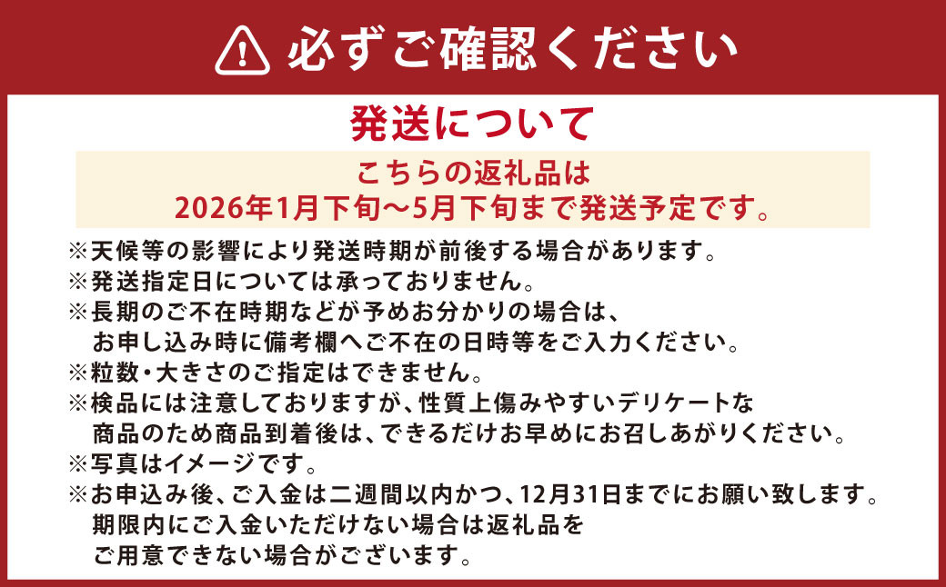 【5か月連続定期便】『まるで太陽の恵みをそのまま閉じ込めたような真っ赤な大玉トマト』約4kg×5回 計17.5㎏