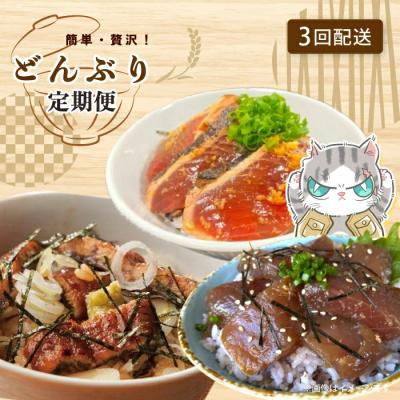 ふるさと納税 四万十市 【3回定期便】ご飯にのせて!贅沢どんぶり定期便