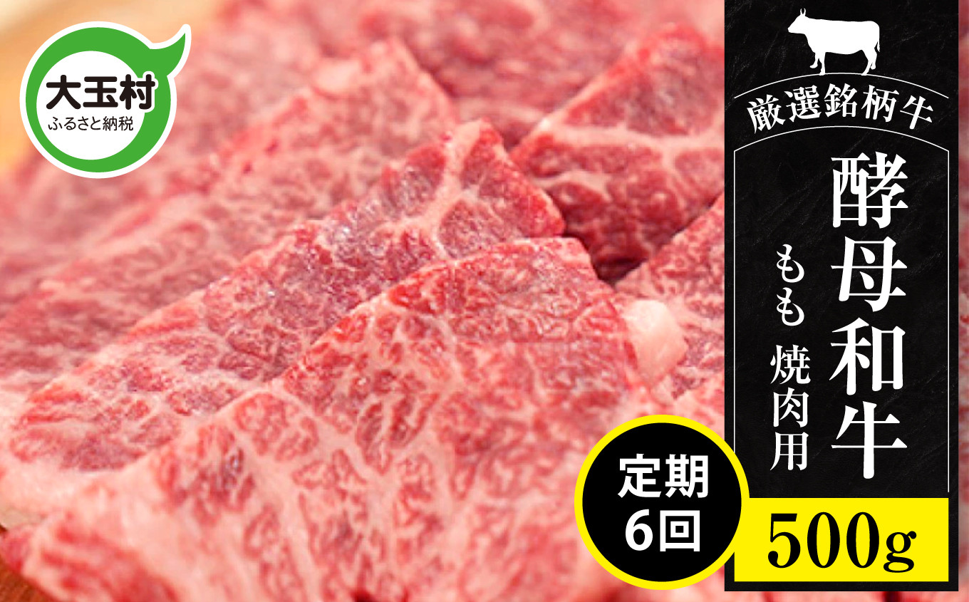
            【定期便6回】あだたら酵母牛（ 焼肉 用 ） もも 焼肉 500g 計6回 （計3kg）【02117-t6】 牛肉 肉 和牛 黒毛和牛 国産 焼肉 福島県 大玉村 鉄板焼 牛 もも肉 モモ肉 モモ
          