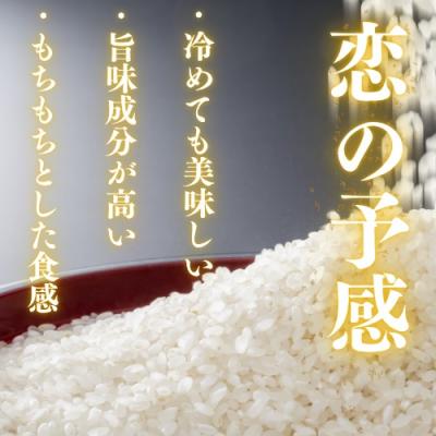 ふるさと納税 山口市 農家直送!山口市産新米「恋の予感」精米10kg D403 |  | 02