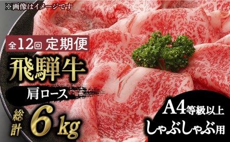 【12回定期便】飛騨牛A4等級以上 ロース 肩ロース しゃぶしゃぶ用 500g【肉の丸長】  和牛 ブランド牛 焼肉 国産  [TAZ026]