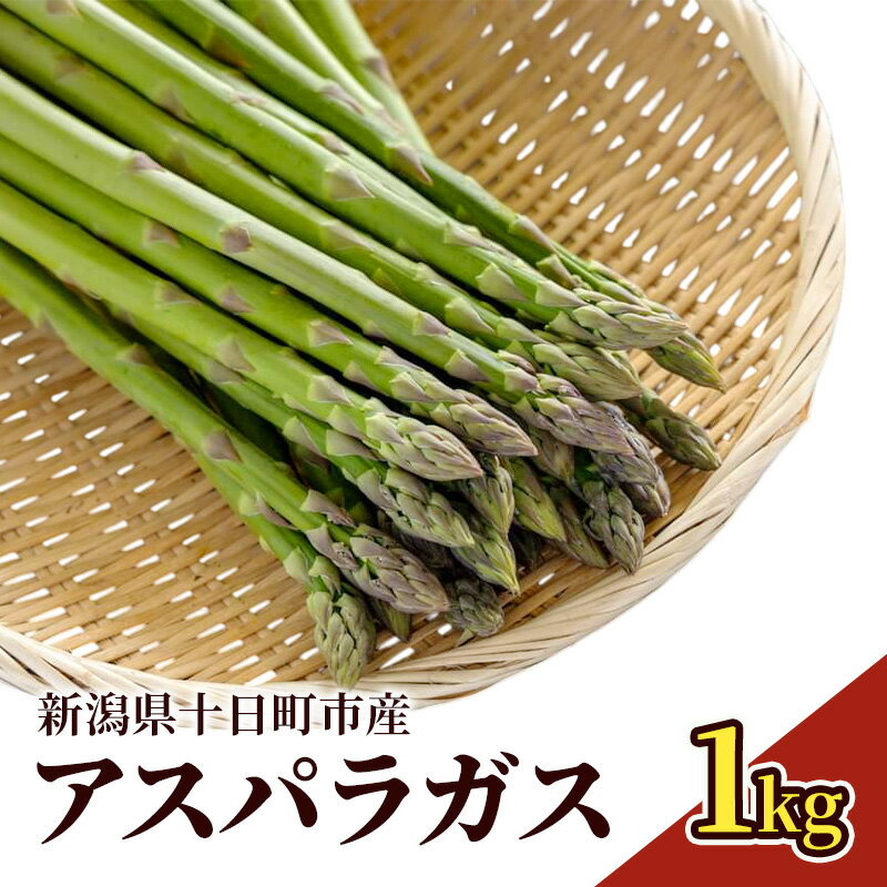 【ふるさと納税】アスパラガス 1kg 野菜 アスパラ 新潟県 十日町市　お届け：2025年5月下旬～6月下旬