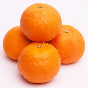 ＜4月より発送＞厳選カラマンダリン5kg+150g(傷み補償分)【希少な春柑橘】【配送不可地域：離島・北海道・沖縄県】【1356084】