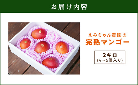えみちゃん農園 の 完熟 マンゴー 2キロ（ 5～6個入り ）C008-008 フルーツ 果物 限定 数量限定 完熟マンゴー あまい 美味しい おいしい ジューシー 甘い香り 厳選 先行予約 贅沢 予