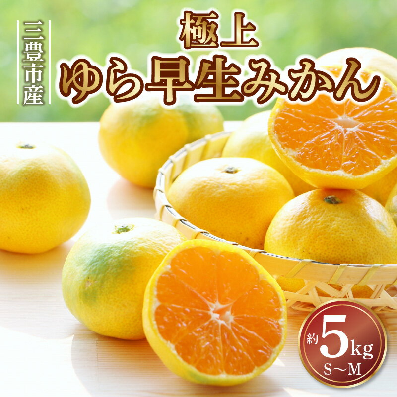 【ふるさと納税】【配送不可地域：北海道・沖縄県・離島】三豊市産　極上【ゆら早生みかん　約5kg】S〜Mサイズ 秋 旬