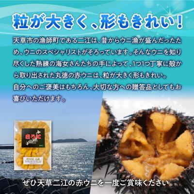 ふるさと納税 天草市 天草二江の養殖赤うに 80g_S157-008 |  | 03