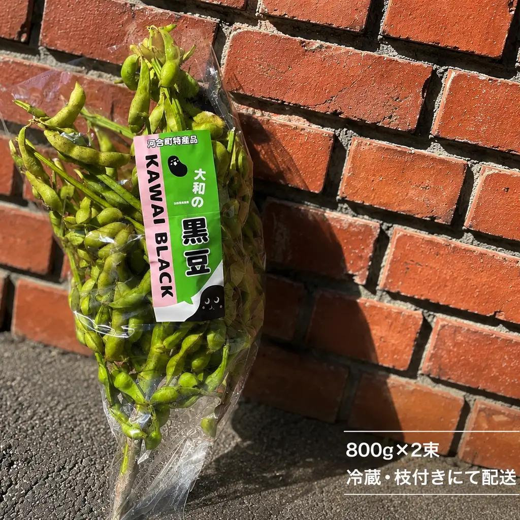 【先行予約】大和の黒豆 幻の枝豆 優品1.6kg(800g×2束) 枝豆 えだまめ