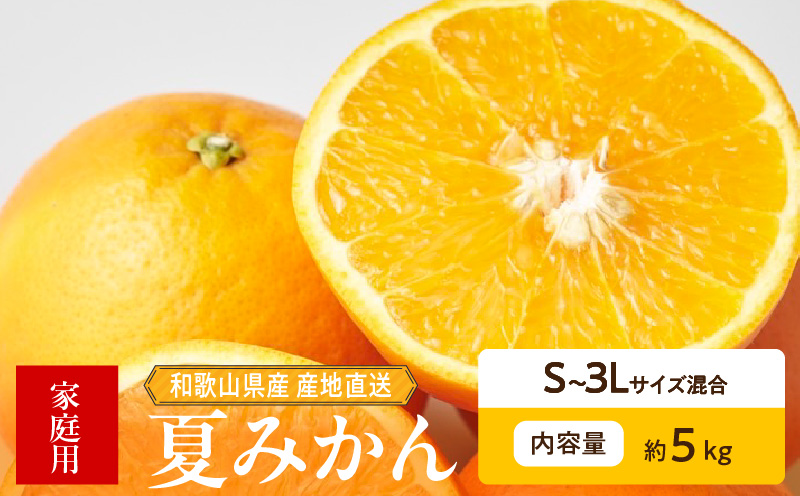 ZE6507_和歌山県産　夏みかん　5kg　家庭用