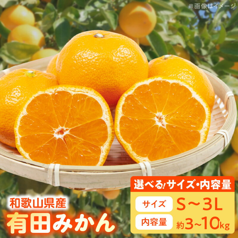 【ふるさと納税】【限定】【TVで紹介されました】 高評価 みかん 有田みかん 選べるサイズ&容量 S ～ 3Lサイズ 3kg 5kg 10kg 手選別 厳選 直送 国産 ブランド産地 有田 温州みかん 柑橘 果物 フルーツ 甘い コク うまみ 果汁 濃縮 濃厚 お取り寄せ 和歌山県 湯浅町 送料無料