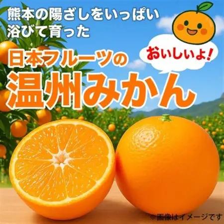 【先行予約2026年】熊本県産 訳あり みかん サイズミックス 3S～3L 約5kg(益城町)【1726315】