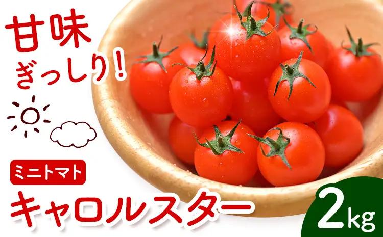 ミニトマト キャロルスター 約2kg ますだふぁーむ《7月上旬-11月末頃出荷》熊本県 南阿蘇村 キャロルスター 野菜 旬 夏野菜 トマト