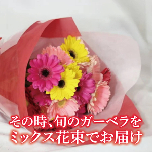 【6ヶ月定期便】旬の水戸市常澄のガーベラ カラフルミックス20本（DR-132）