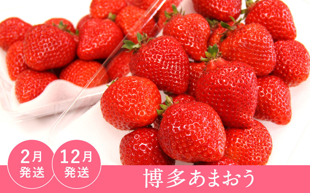 【福岡県産 特産品 年6回定期便】うまもぐ厳選 野菜果物セット