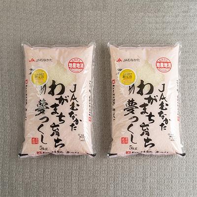 ふるさと納税 太宰府市 【太宰府】果物屋さんが選んだ米「夢つくし」10kg