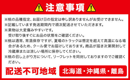 【2027年先行予約】桃&ぶどう詰合せ 白桃 2玉 ニューピオーネ1房 シャインマスカット 1房【配送不可地域あり】