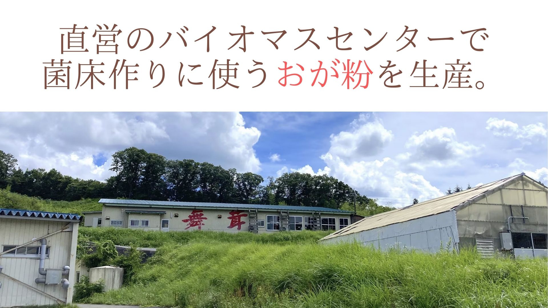 箱を開けた時の舞茸の香りにビックリしてください！
