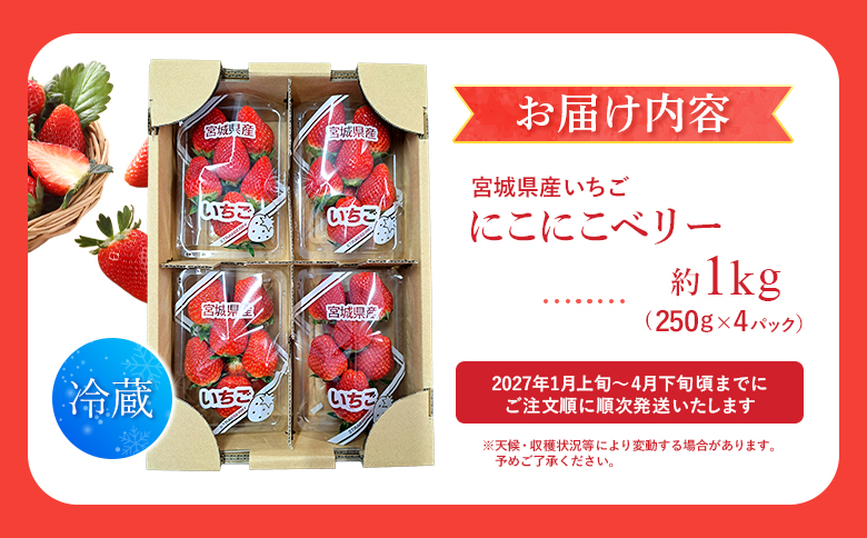 【先行受付】宮城県産いちご「にこにこベリー」約1kg（250ｇ×4）| ふるさと納税 宮城県 丸森 いちご 苺 イチゴ ストロベリー フルーツ 果物 くだもの オリジナル品種 デザート スイーツ 甘味