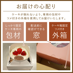 イチゴデコレーション6号サイズ クリスマス クリスマスケーキ ケーキ お祝い お誕生日ケーキ バースデーケーキ 記念日ケーキ サプライズ【074D-040】