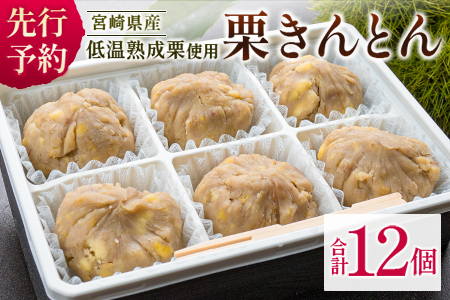 宮崎県産 低温熟成栗100%［栗きんとん］計12個 おやつ 甘い お取り寄せ【B619-25】
