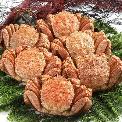 ふるさと納税 釧路市 【浜茹で!】ボイル毛ガニ3.0kg 詰め(冷凍)6尾入り ふるさと納税 かに 蟹 F4F-5473