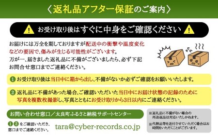 【体が喜ぶ】 キウイフルーツ 約2kg前後 （17～22個） バラ詰め合わせ （スタンドパック 3袋付き） 【2026年12月上旬-2027年4月下旬発送】 果物 くだもの 果実 キウイフルーツ フル