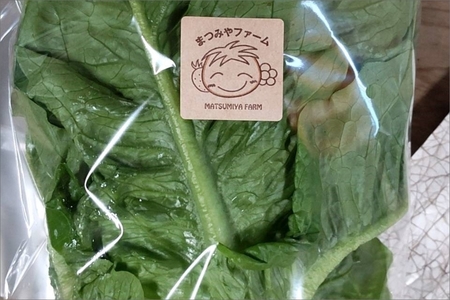 京都・まつみやファームの京都の野菜秋冬セット（5品）